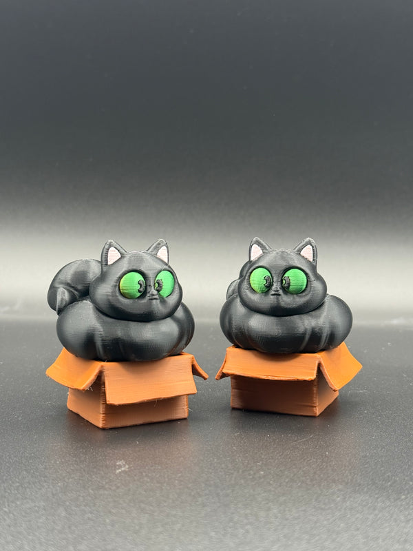 if i fits i sits black